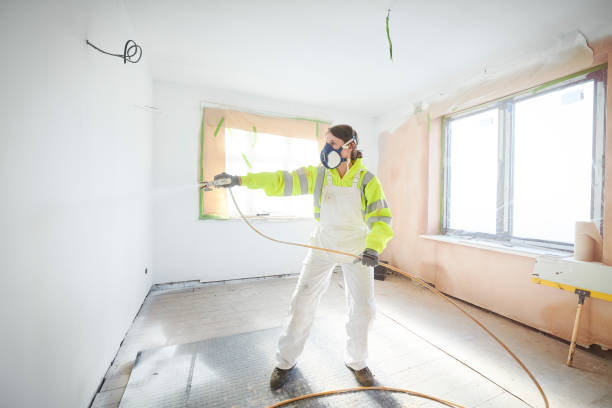 Best Emergency Mold Remediation  in Meadow Vista, CA