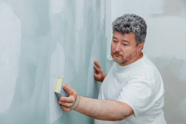 Reliable Meadow Vista, CA Mold Removal Solutions
