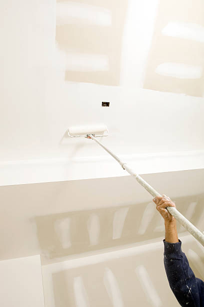 Mold Remediation for Rental Properties in Meadow Vista, CA