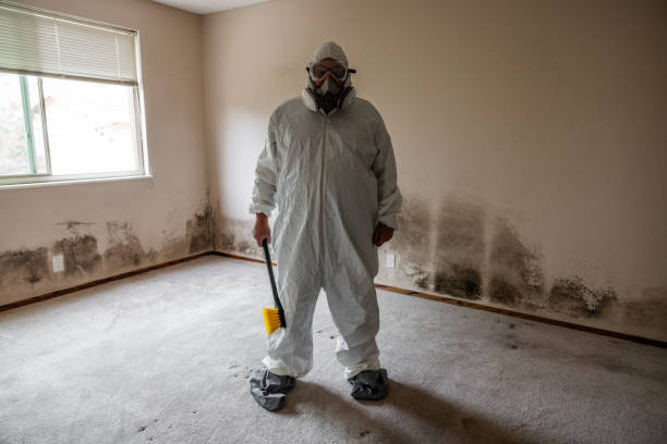 Mold Removal for HVAC Installations in Meadow Vista, CA